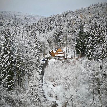 Pensjonat Alpejski Dwor Miedzygorze Exteriör bild