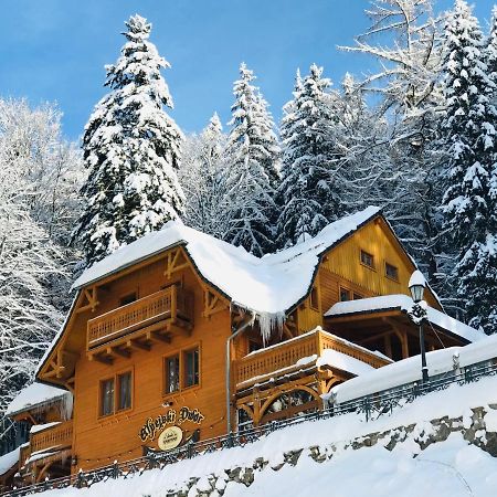 Pensjonat Alpejski Dwor Miedzygorze Exteriör bild