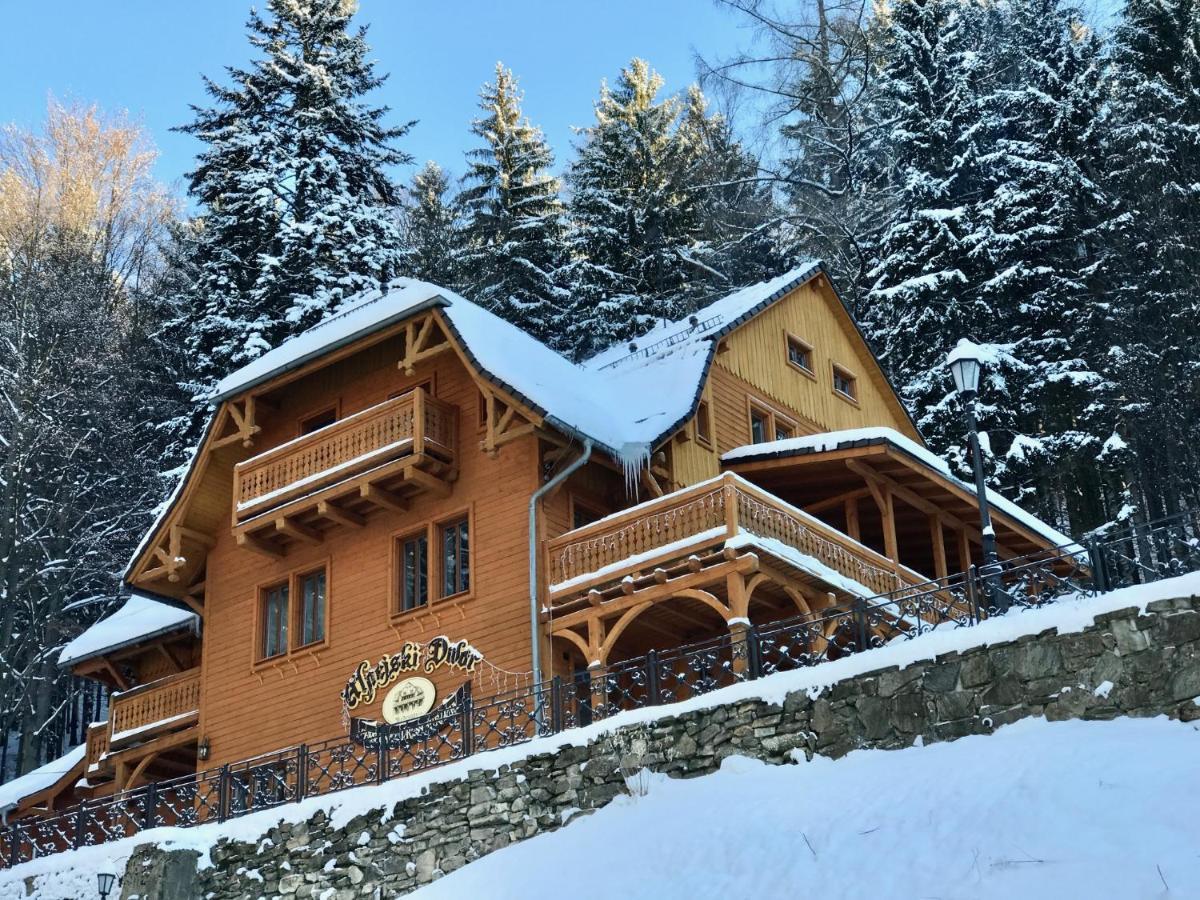 Pensjonat Alpejski Dwor Miedzygorze Exteriör bild