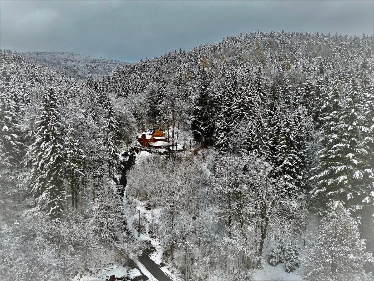 Pensjonat Alpejski Dwor Miedzygorze Exteriör bild