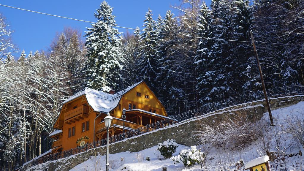 Pensjonat Alpejski Dwor Miedzygorze Exteriör bild
