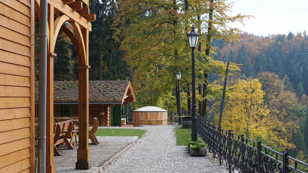 Pensjonat Alpejski Dwor Miedzygorze Exteriör bild