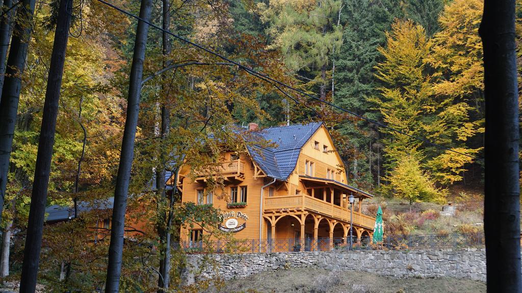 Pensjonat Alpejski Dwor Miedzygorze Exteriör bild