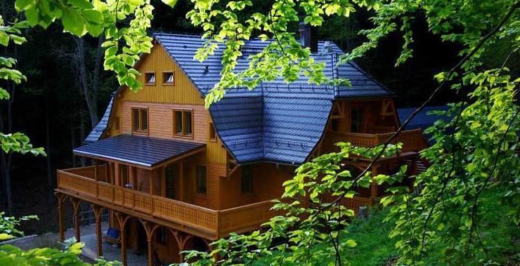 Pensjonat Alpejski Dwor Miedzygorze Exteriör bild